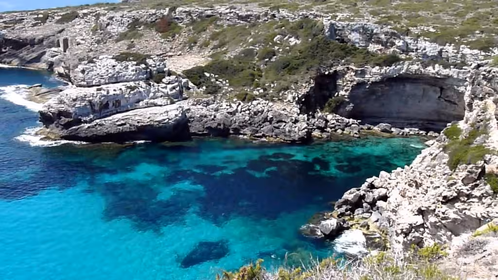 Cala figuereta