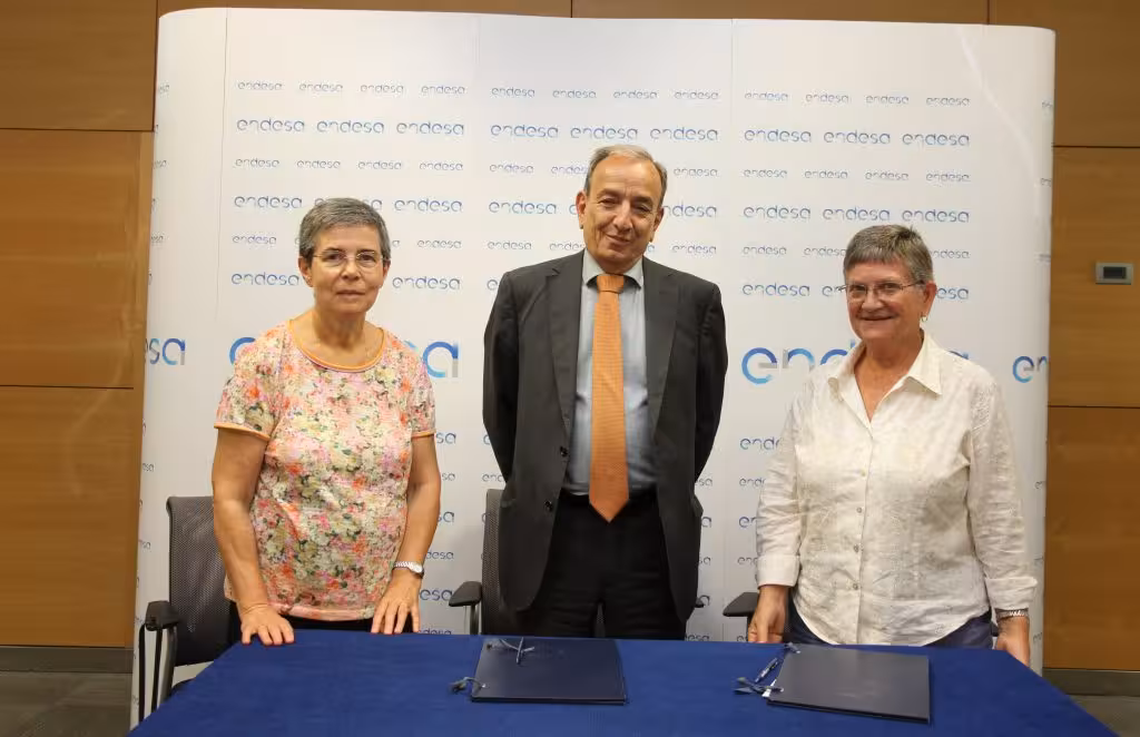 Endesa con Naüm