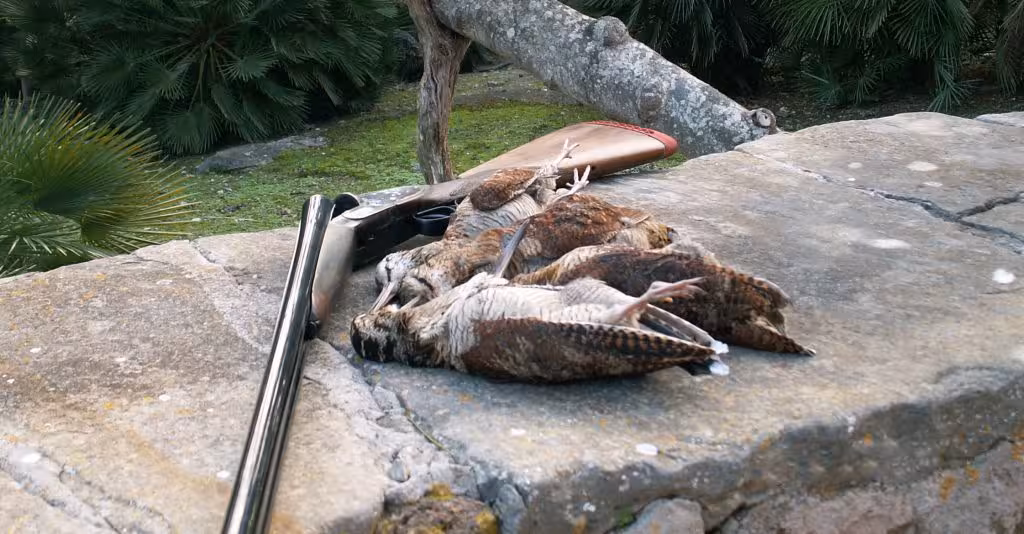 Caza en Baleares