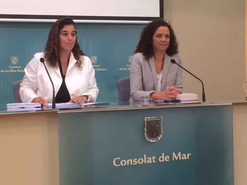 presupuestos 2017|