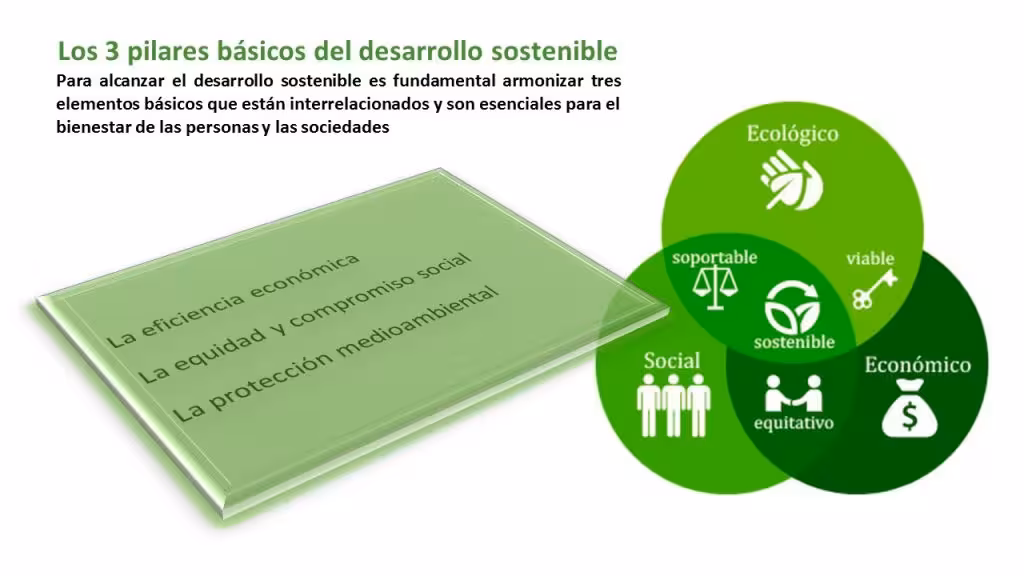 Los 3 pilares básicos del desarrollo sostenible