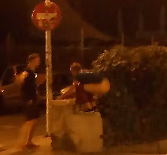 arnal_defecar_turista
