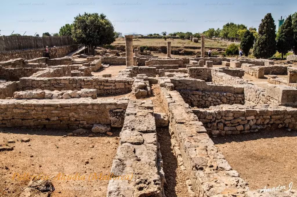 Pollentia