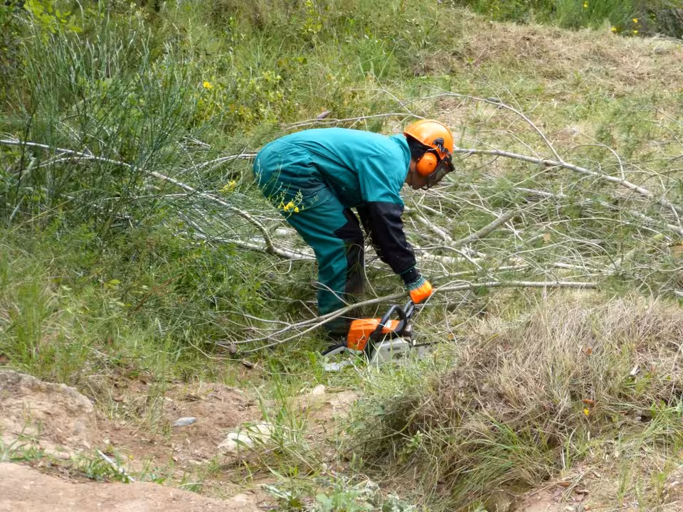 endesa