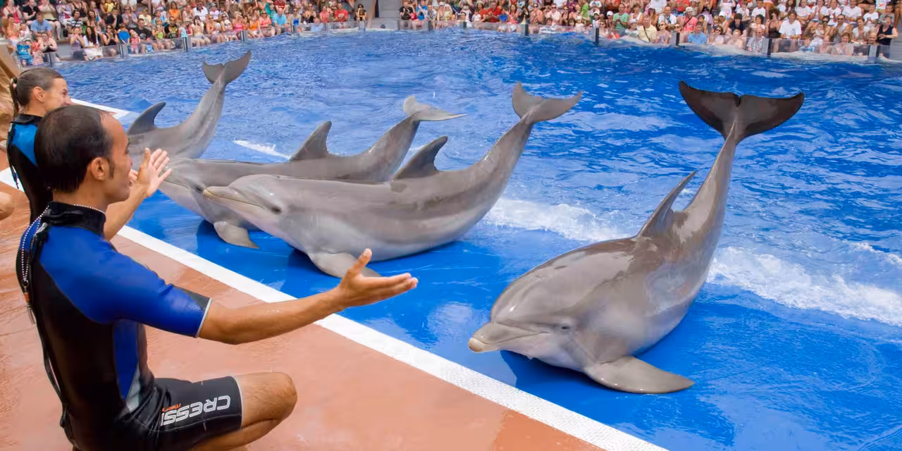 FOTO; Marineland