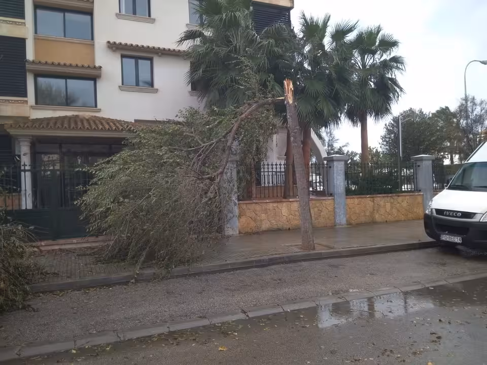 FOTO: Ajuntament de Palma