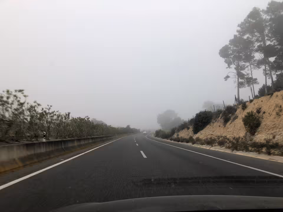 Niebla