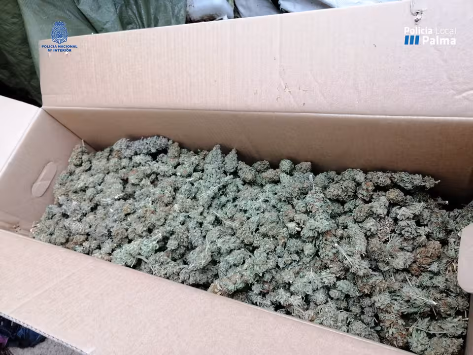 09/09/2020 Marihuana dispuesta para su venta incautada en el operativo..