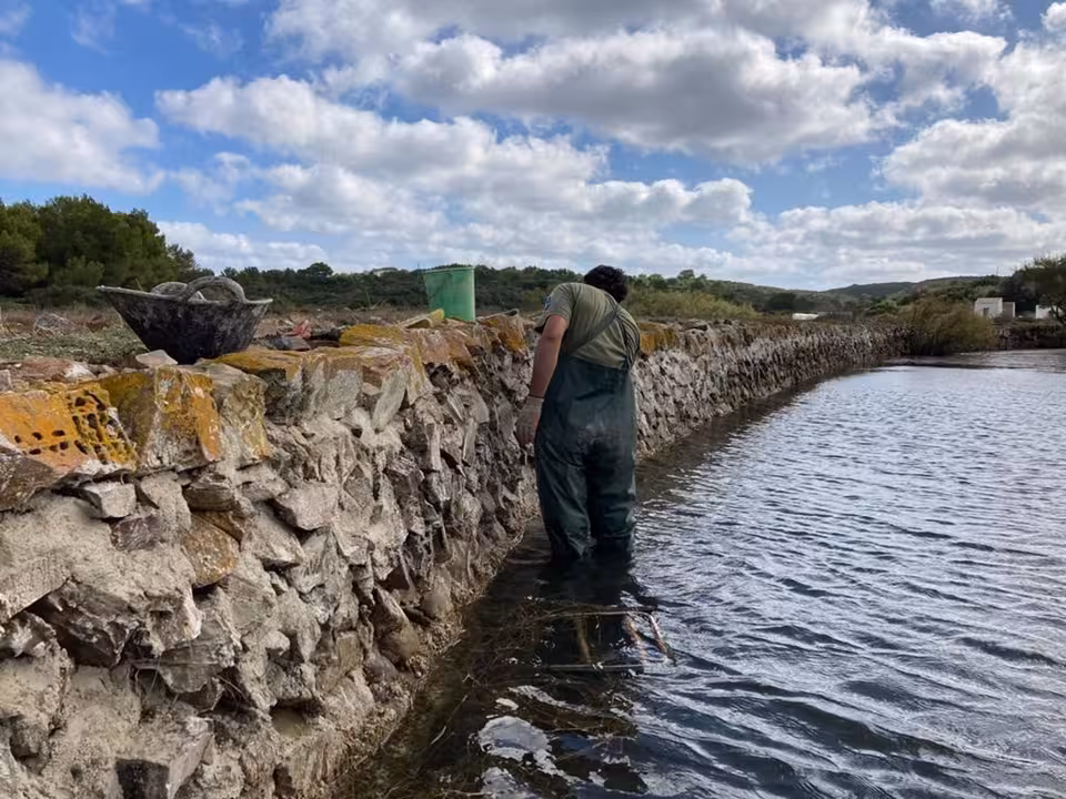 01/11/2020 Un trabajador del Parque Natural de s'Albufera de Grau completa las tareas de restauración y mantenimiento de la pared maestra..
Trabajadores del Parque Natural de s'Albufera de Es Grau, en la isla de Menorca, han completado, esta semana, las tareas de restauración y mantenimiento de la pared maestra, iniciadas a principios de este año.
POLITICA ESPAÑA EUROPA ISLAS BALEARES AUTONOMÍAS
CAIB