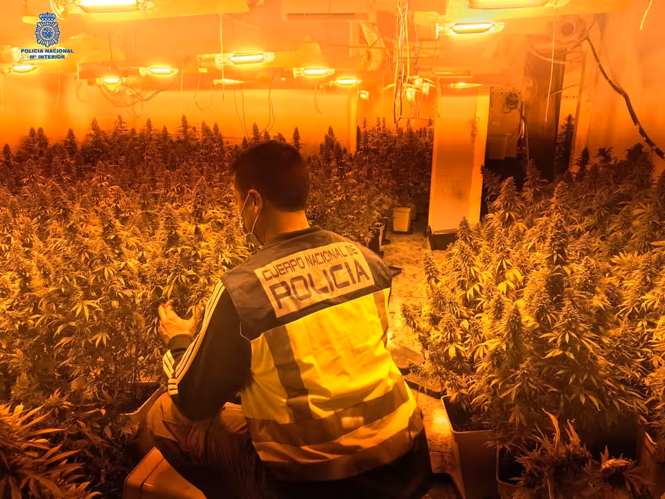 18/11/2020 La Policía Nacional Detiene A Cuatro Personas Por Un Delito Contra El Tráfico De Drogas.
Agentes de la Policía Nacional han desmantelado uno de los principales centros de distribución de marihuana a otros narcotraficantes en Palma, durante un operativo que se ha saldado con cuatro detenidos como presuntos autores de un delito contra la salud pública y defraudación de fluido eléctrico.
SOCIEDAD
POLICÍA