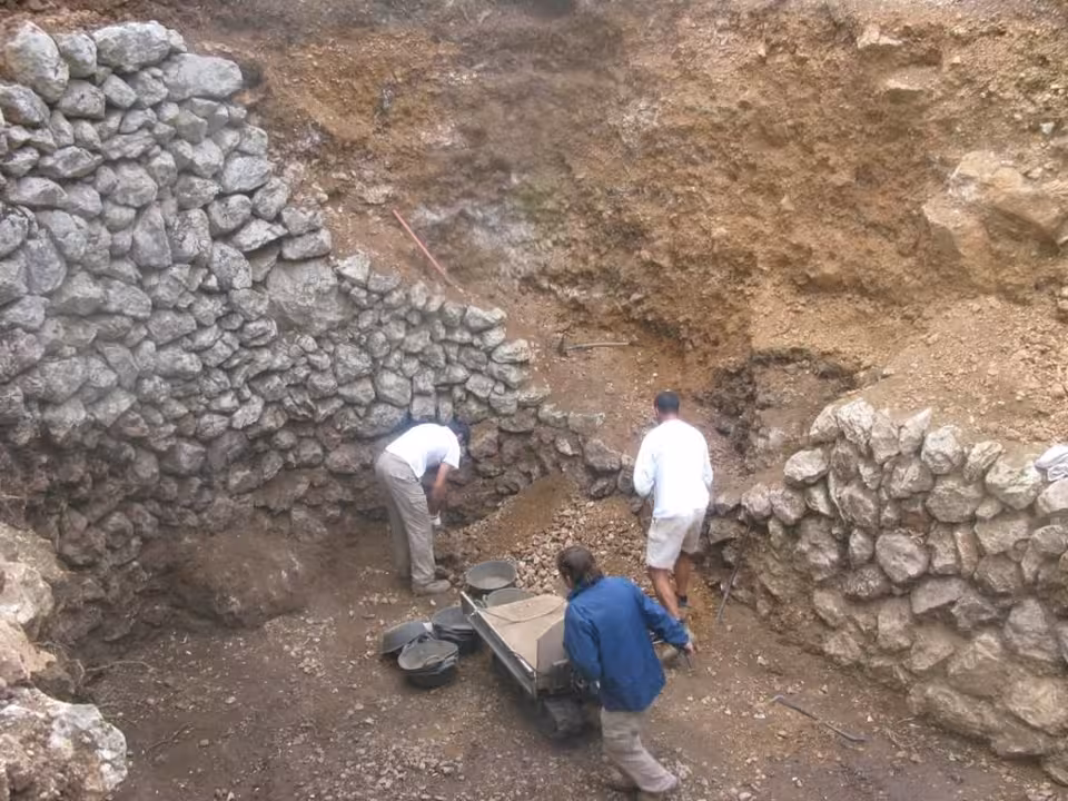 09/01/2021 Un grupo de margers trabajando.
POLITICA ESPAÑA EUROPA ISLAS BALEARES AUTONOMÍAS
CONSELL DE MALLORCA