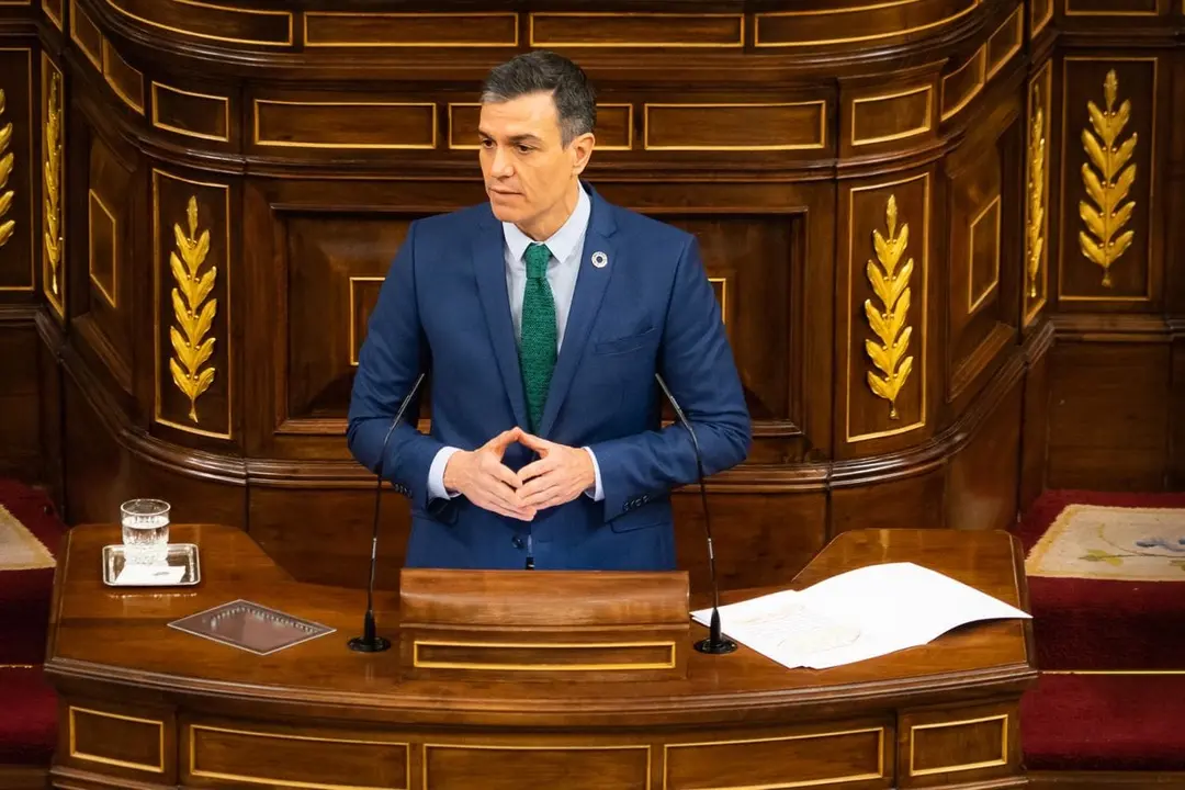 Archivo - Pedro S&aacute;nchez en el Congreso de Diputados.