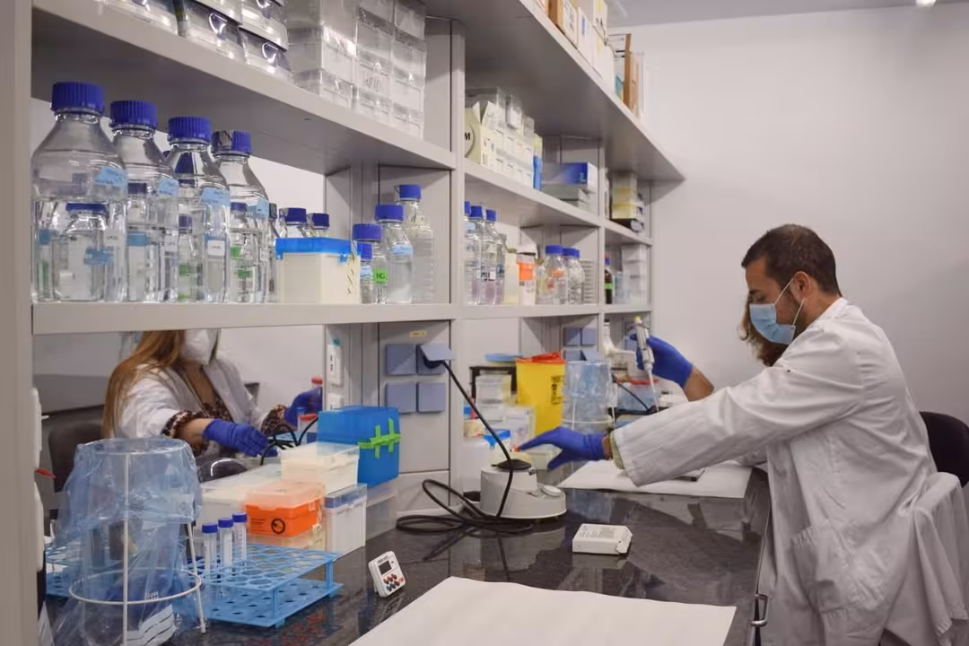 13/03/2021 Investigadores del IdISBa trabajando en el laboratorio..
El Instituto de Investigación Sanitaria Illes Balears (IdISBa) ha ampliado los espacios destinados a la investigación, al incrementar sus instalaciones en 216 metros cuadrados, una inversión a la que ha destinado 135.594,95 euros.
SOCIEDAD ESPAÑA EUROPA ISLAS BALEARES AUTONOMÍAS
CAIB