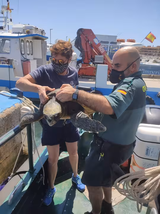 05-06-2021 Agentes de la Guardia Civil rescata un ejemplar de tortuga boba en aguas del mar balear.
SOCIEDAD ESPAÑA EUROPA ISLAS BALEARES AUTONOMÍAS
GUARDIA CIVIL