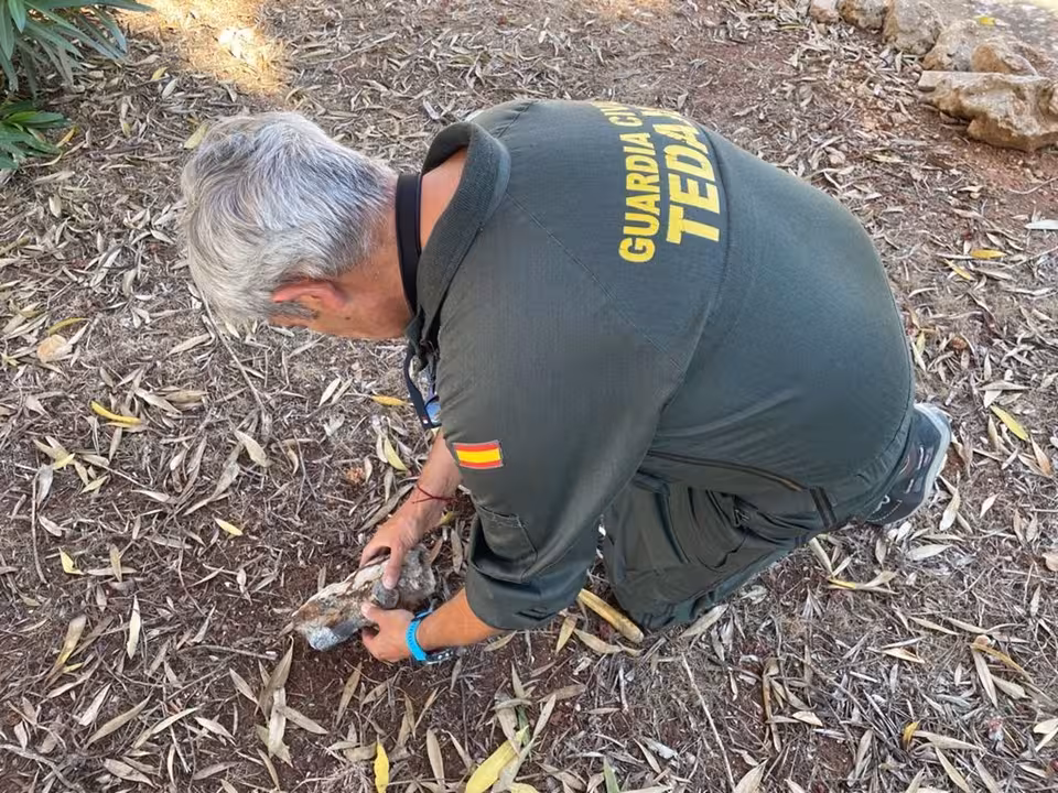 02-07-2021 Sucesos.- La Guardia Civil se hace cargo de un proyectil antiguo encontrado en la playa de Son Bou.

La Guardia Civil fue alertada ayer miércoles del hallazgo de un posible artefacto explosivo antiguo localizado en la playa de Son Bou, en el término municipal de Alaior.

SOCIEDAD ESPAÑA EUROPA ISLAS BALEARES AUTONOMÍAS
GUARDIA CIVIL