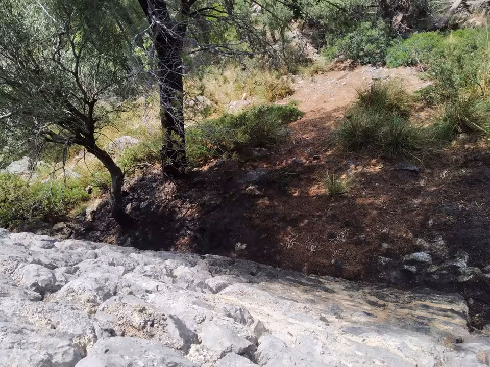 15-08-2021 Agentes de Medio Ambiente y el Seprona investigan las causas de tres pequeños incendios declarados en Valldemossa.
Agentes de Medio Ambiente y del Seprona están investigando las causas de tres pequeños incendios que fueron declarados, aunque controlados y extinguidos rápidamente, en Valldemossa.
SOCIEDAD
AGENTES MEDIO AMBIENTE