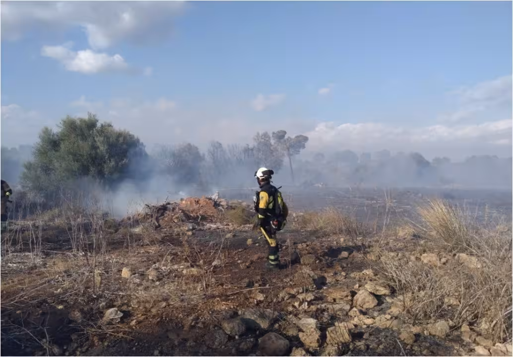 19-08-2021 Un bombero del Ibanat en el incendio forestal en Son Macià, Mallorca.
SOCIEDAD ESPAÑA EUROPA ISLAS BALEARES AUTONOMÍAS
IBANAT