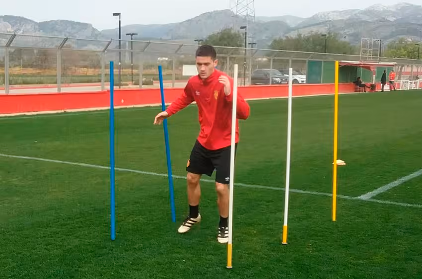 Sasa en Son Bibiloni