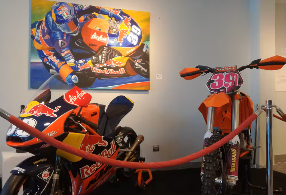 Exposición de Luis Salom en el Palma Arena