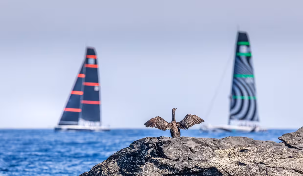 ©Martinez Studio 52 SUPER SERIES 2019