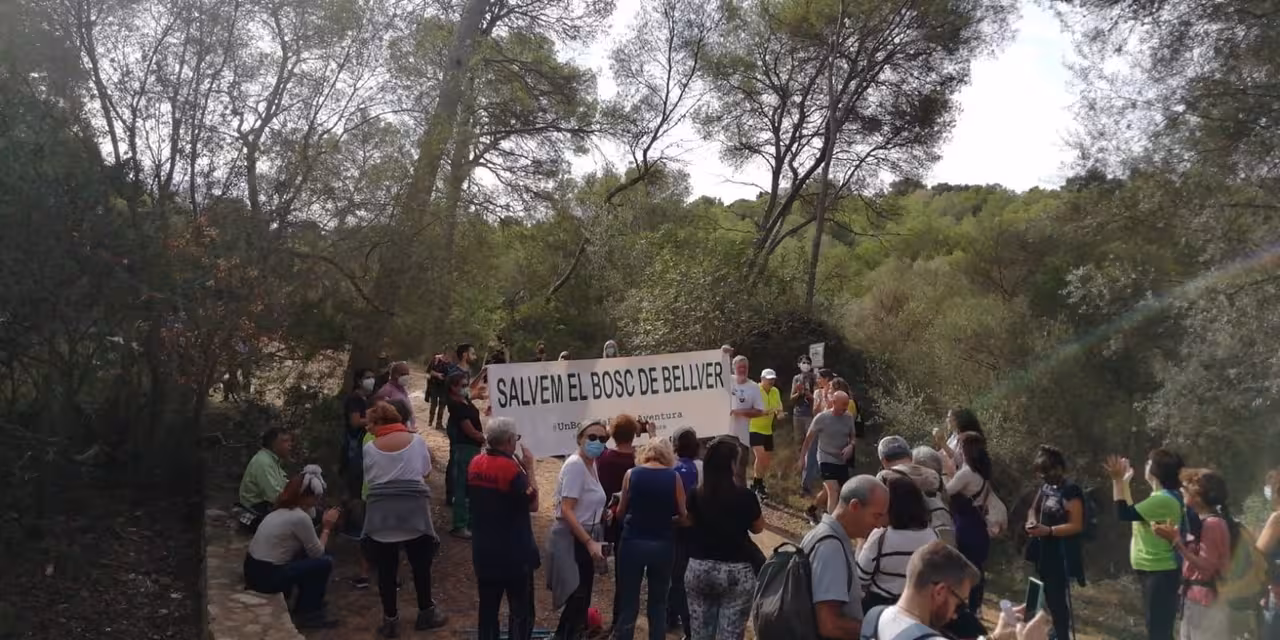 31-10-2021 Unas 200 personas participan en la caminata reivindicativa contra la construcción del parque de aventuras en el bosque de Bellver.
POLITICA ESPAÑA EUROPA ISLAS BALEARES AUTONOMÍAS
ASOCIACIÓN SON QUINT-PARC NATURAL DE PONENT