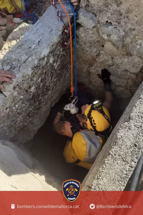 15/12/2023 Un bombero junto al pato rescatado.
ESPAÑA EUROPA SOCIEDAD ISLAS BALEARES
BOMBEROS DE MALLORCA