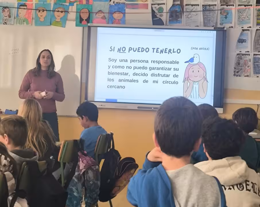 Clases Mascotas