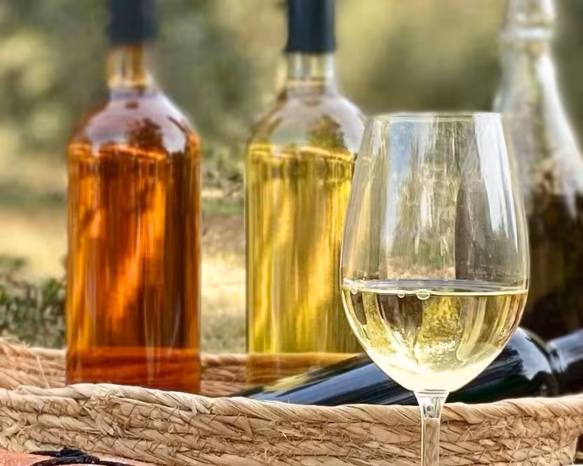 Vinos de Baleares