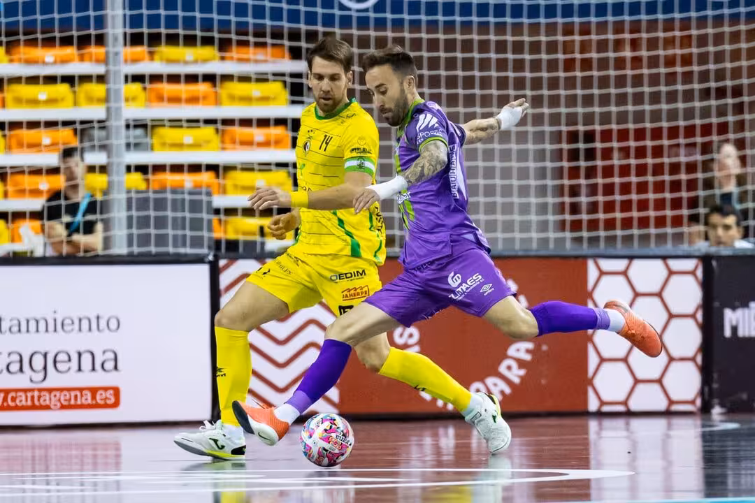 Illes Balears Palma Futsal