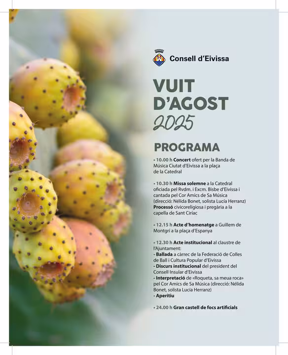 vuitdagost_1