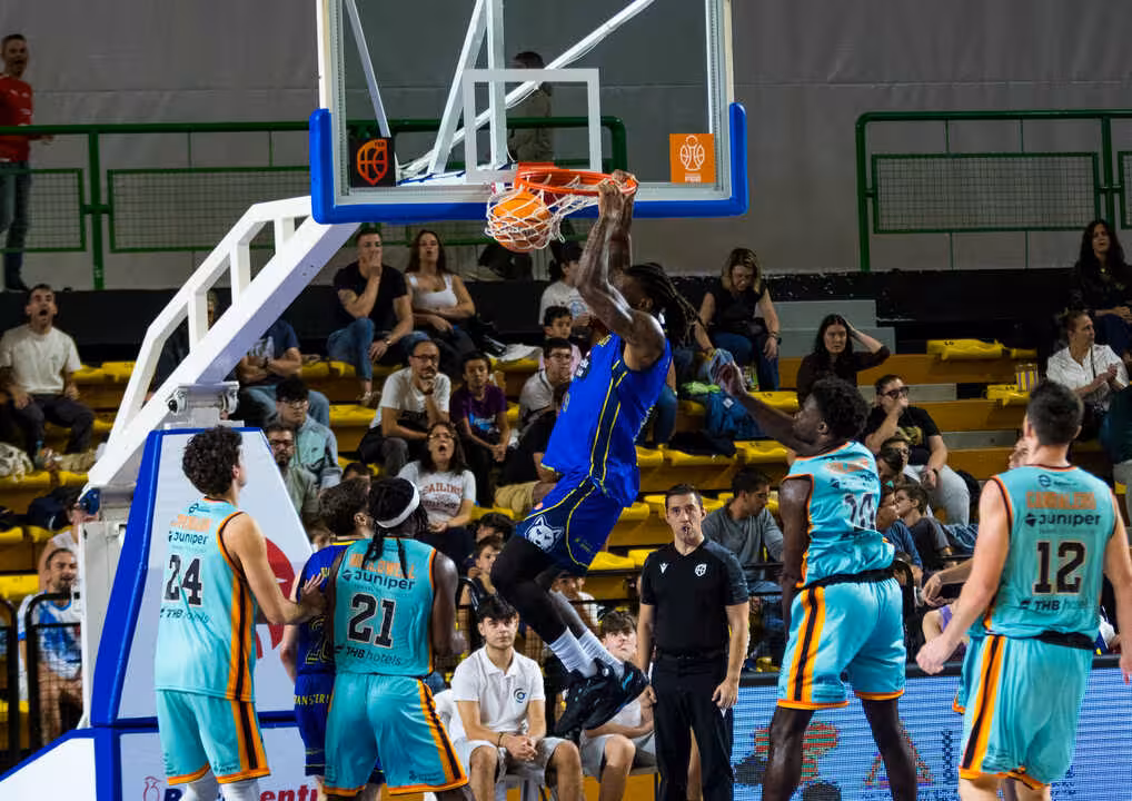 Palmer Basket
