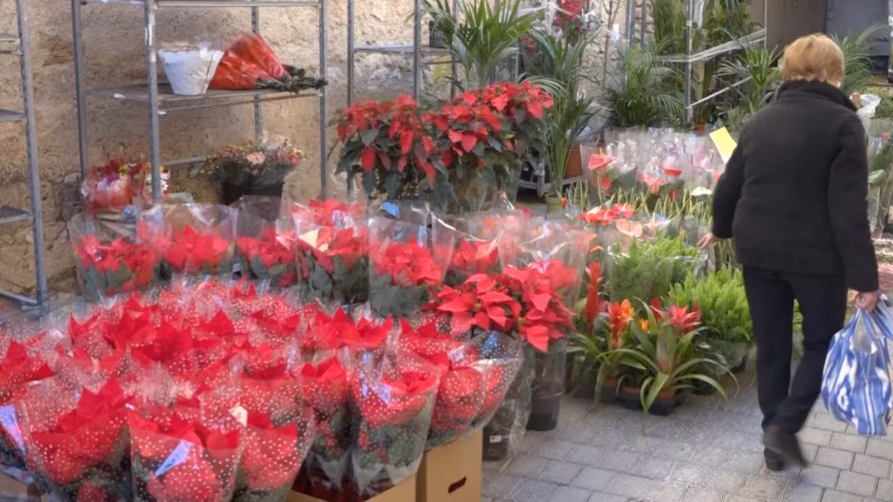 E_Feria Sant Llorenç 