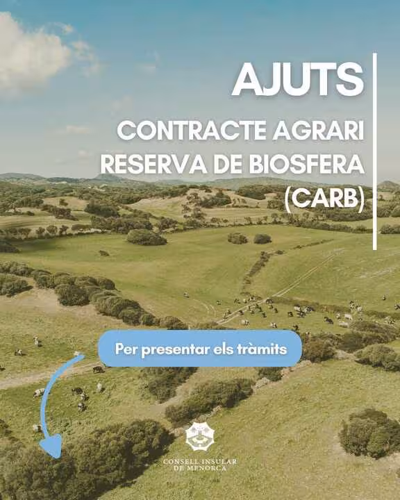 6c108513-633c-4295-b1aa-4b06bf91671d