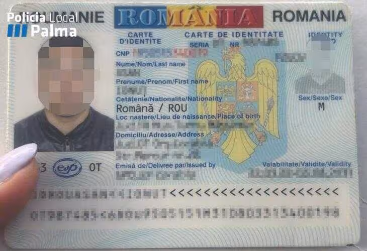 Polic&iacute;a Local de Palma