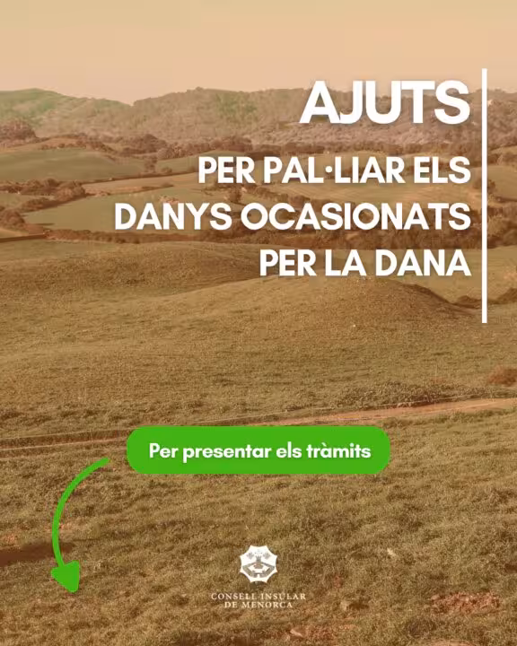 0019ee8c-a378-47e9-a553-7d148b2e9245