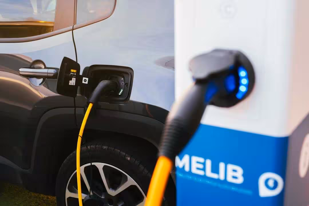 6824f813-5cb9-4297-88c8-db683eb75966