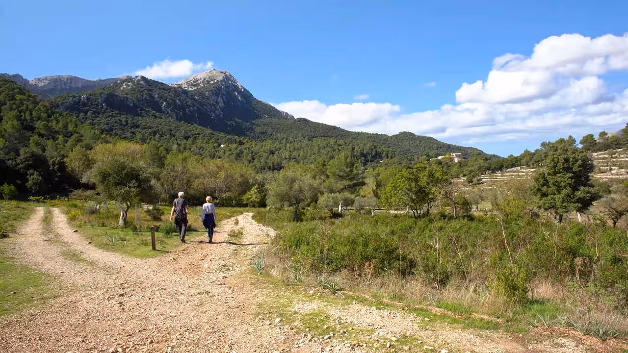 T_Serra de Tramuntana_Biel