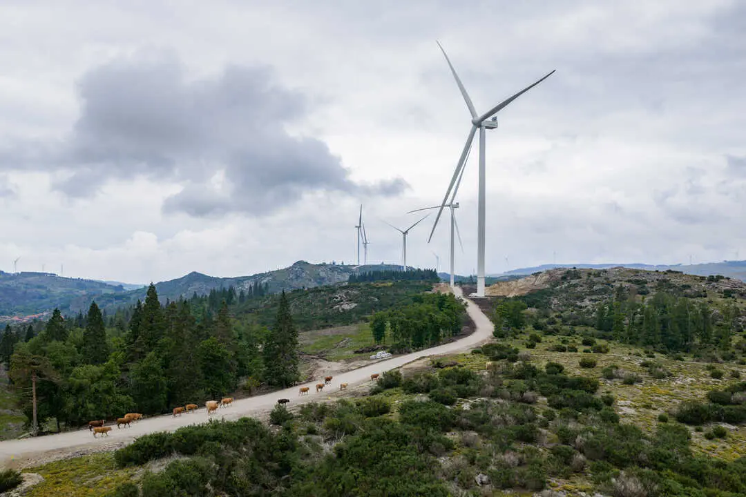 Images of Vestas EnVentus 172-7.2MW onshore wind turbines at T&acirc;mega Wind Farm in northern Portugal.