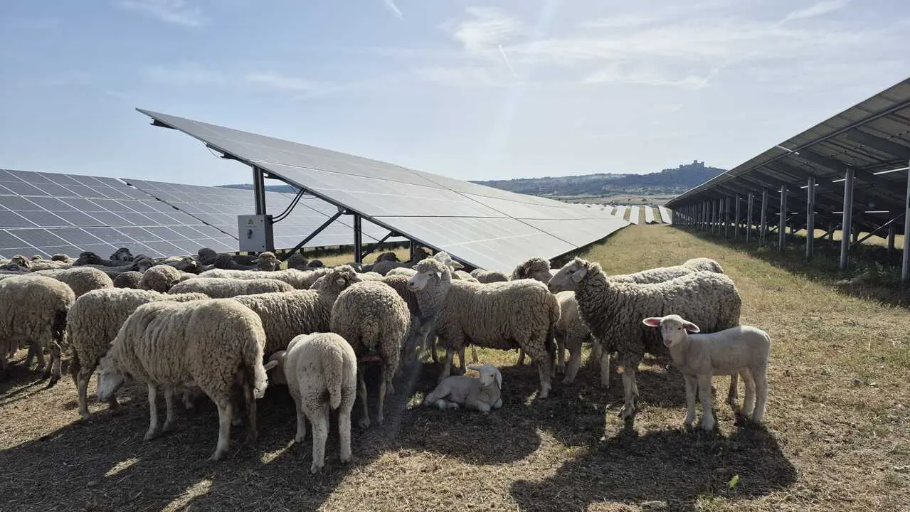 Planta fotovoltaica Iberdrola