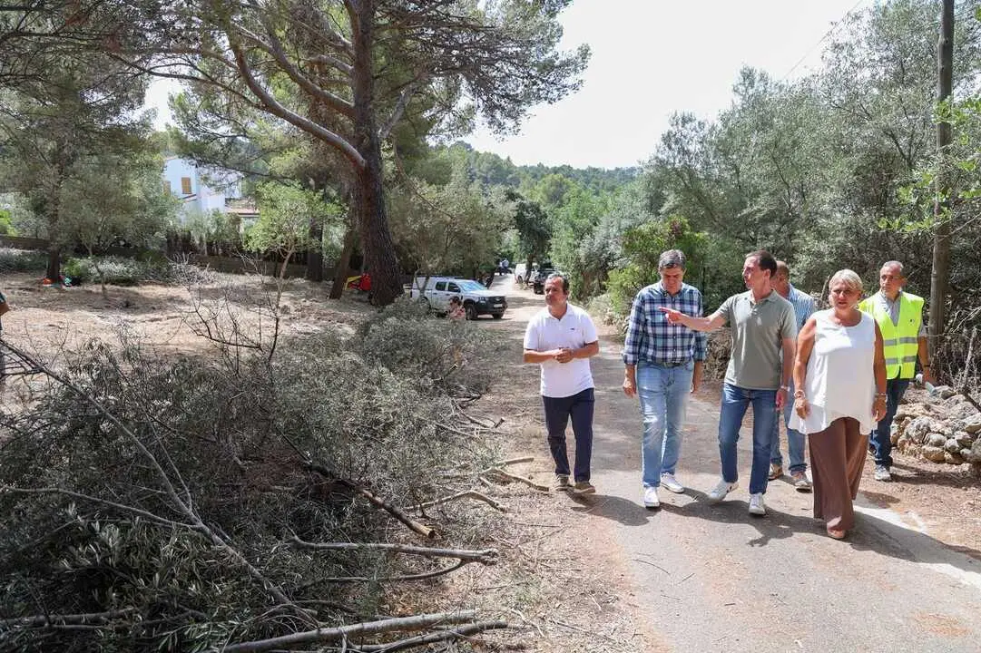 Pla de sanejament forestal de la Serra de Tramuntana