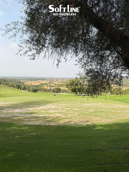 FOTO CAMPO NOTA DE PRENSA ROTANA 18-07