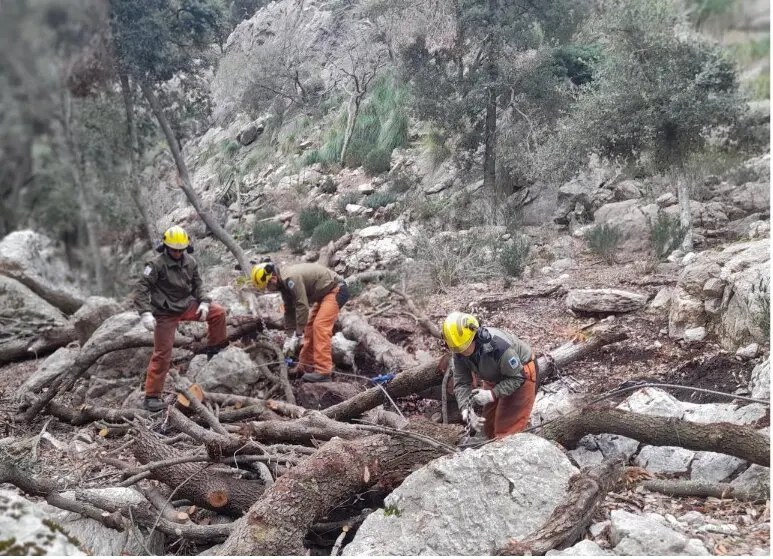 Actuaciones de prevenci&oacute;n de incendios ejecutadas por el IBANAT en puntos estrat&eacute;gicos de prevenci&oacute;n.