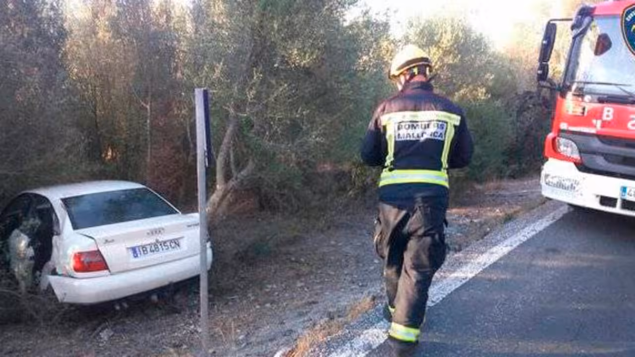 coche empotrado contra un árbol