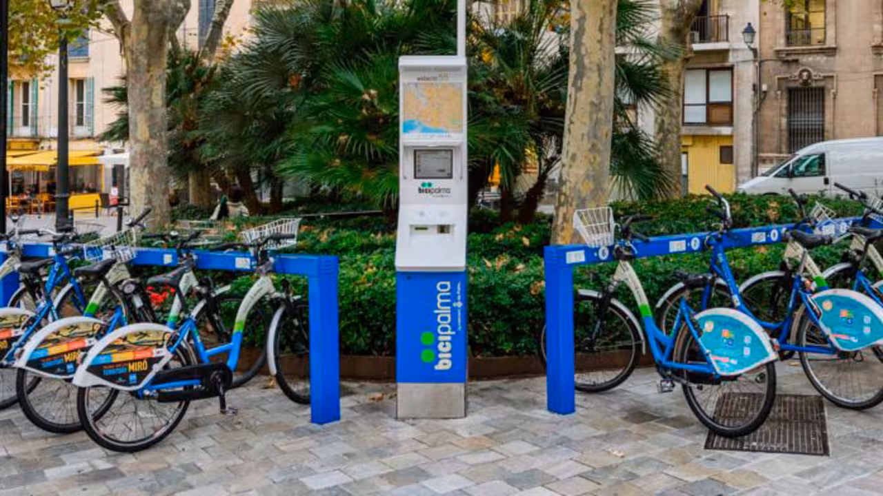 dia sin coches. Bicipalma de la plaza de cort|bicipalma de la plaza de cort