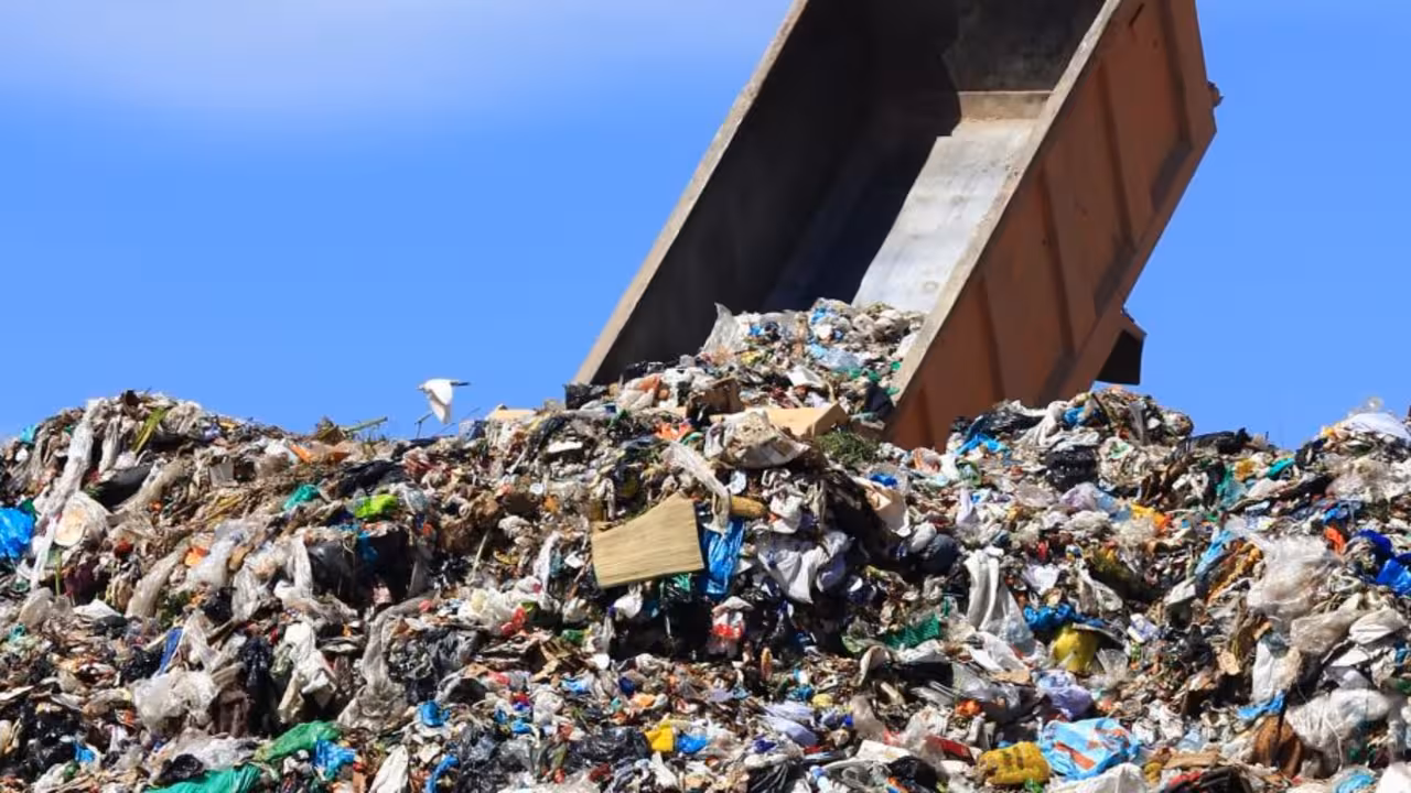 Basura consell de mallorca