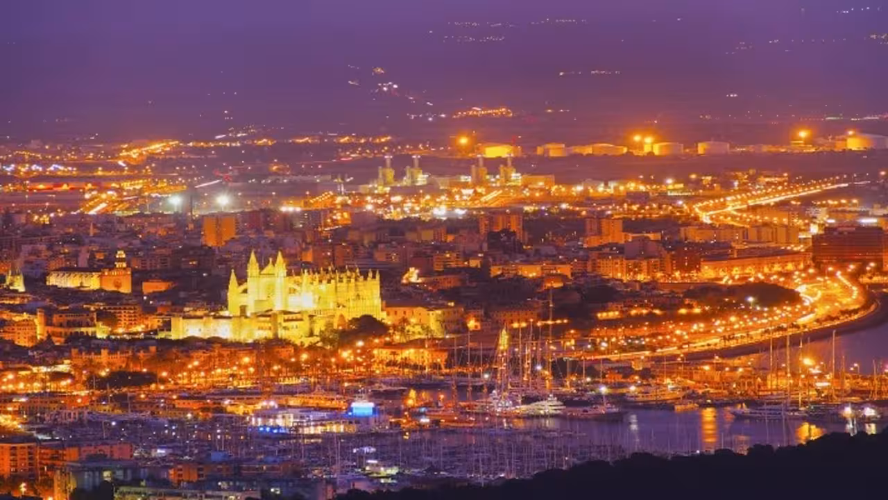 palma de noche