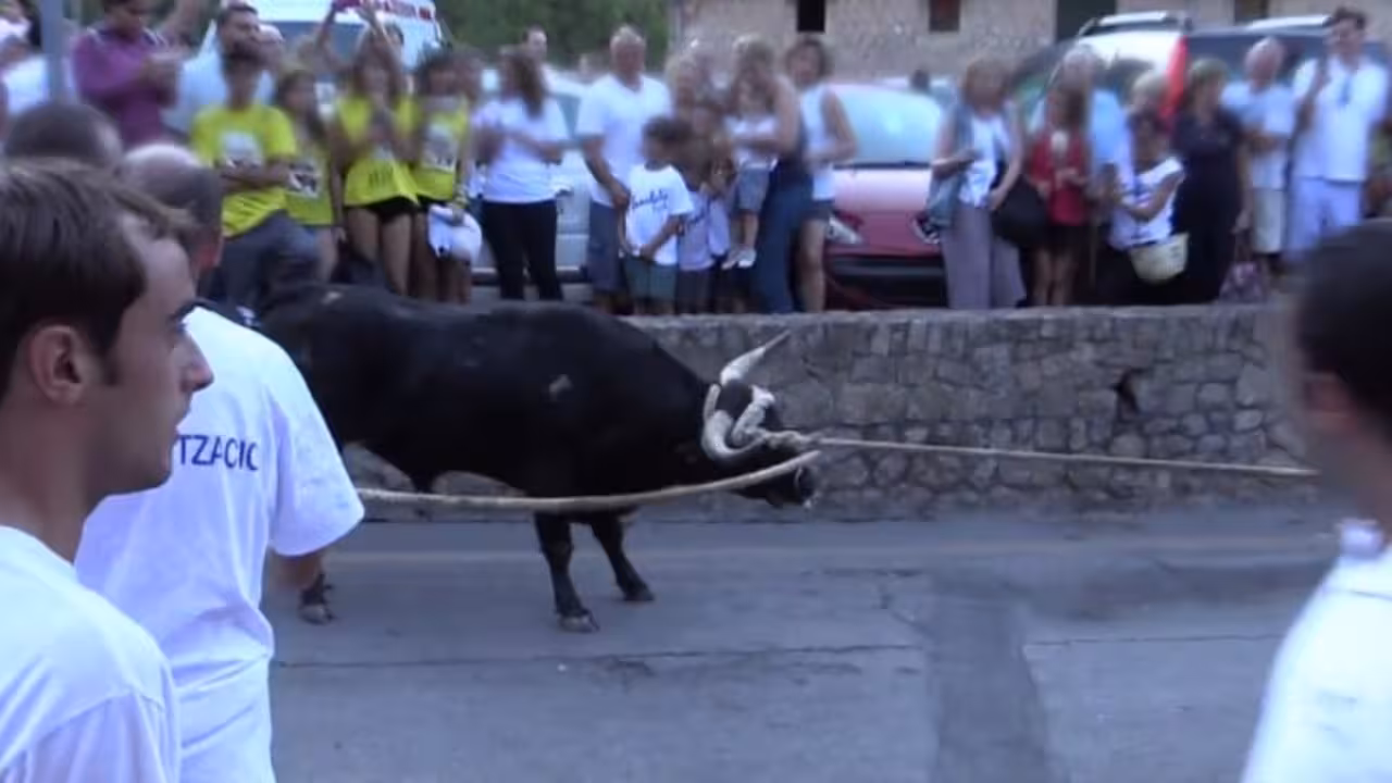 correboufornalutx