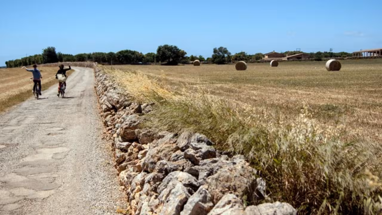 Payesos