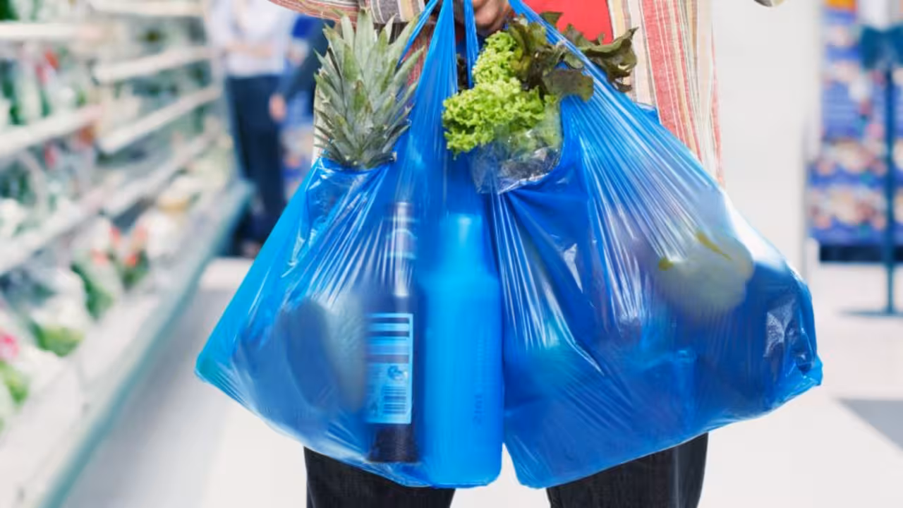 Bolsa de plático