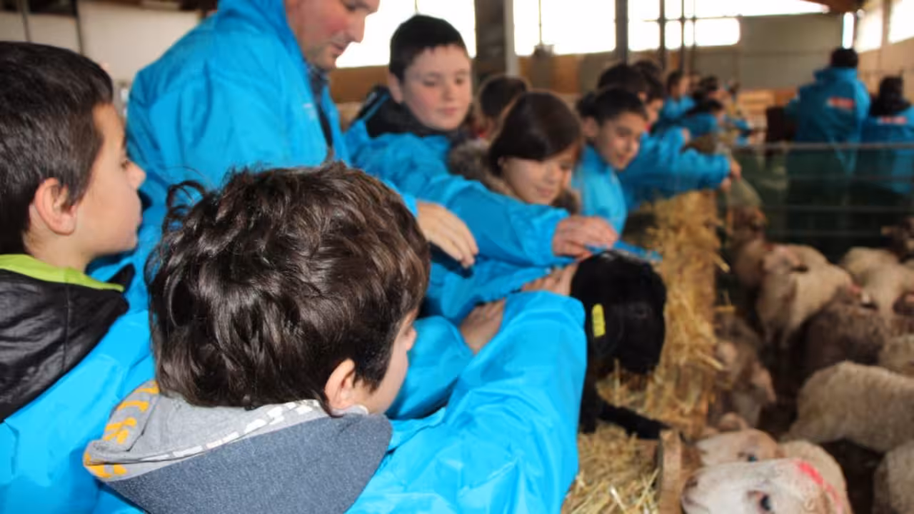 Eroski educación en alimentación